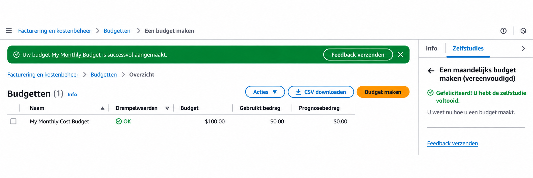Scherm voor voltooiing van budgetcreatie in het officiële AWS-voorbeeld: bevestigingsbericht bovenaan en overzicht van de budgetlijst
