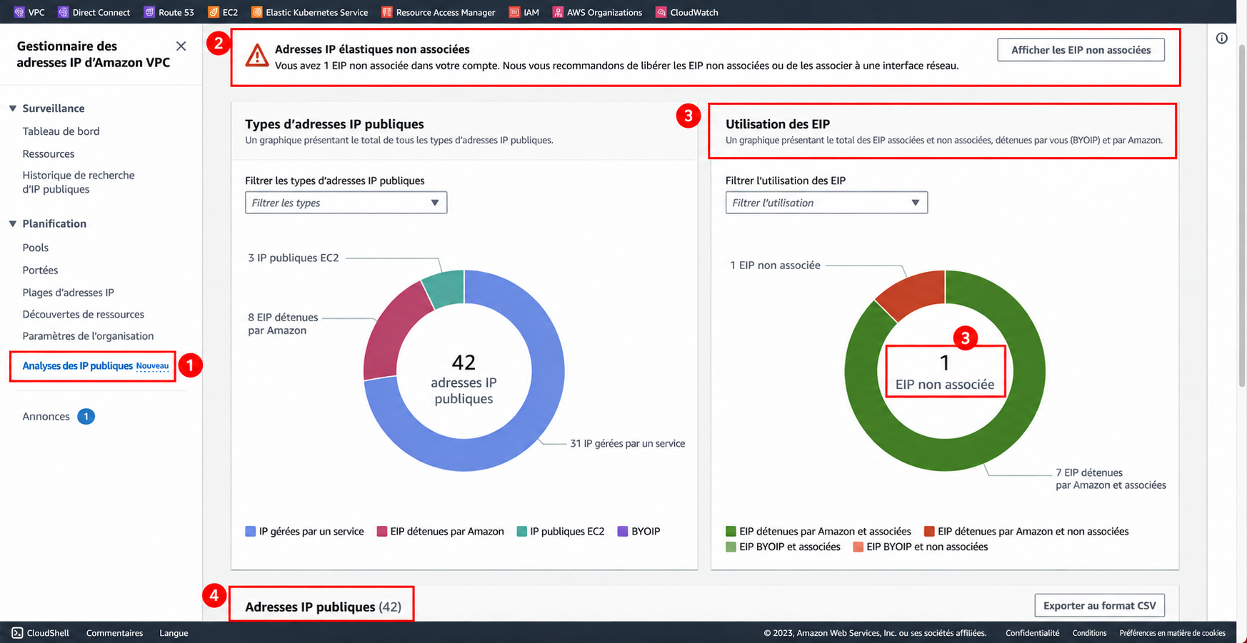 Écran d'exemple réel de Public IP insights d'AWS avec le menu, l'alerte d'EIP non connectée, l'état d'utilisation des EIP et la liste des adresses encadrés en rouge